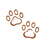 Pet icon