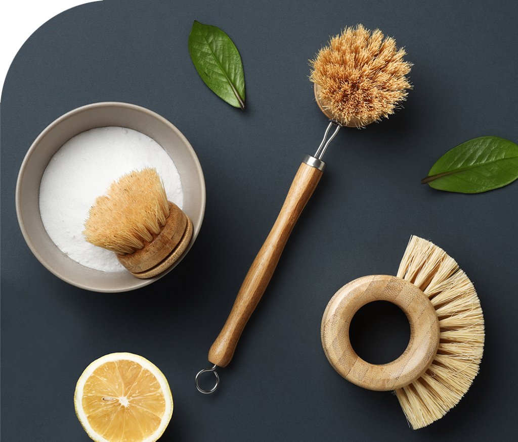 Eco-friendly cleaning brushes and lemon